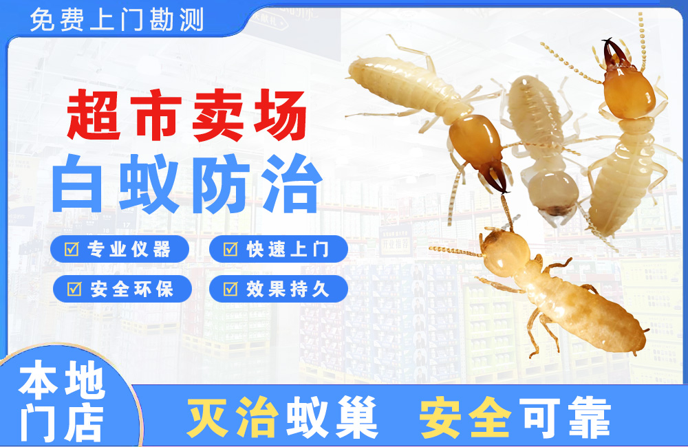 杭州超市卖场白蚁防治