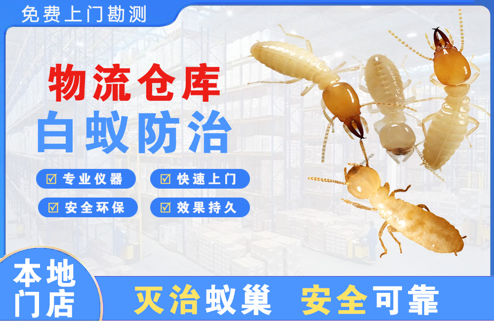 杭州物流仓库白蚁防治