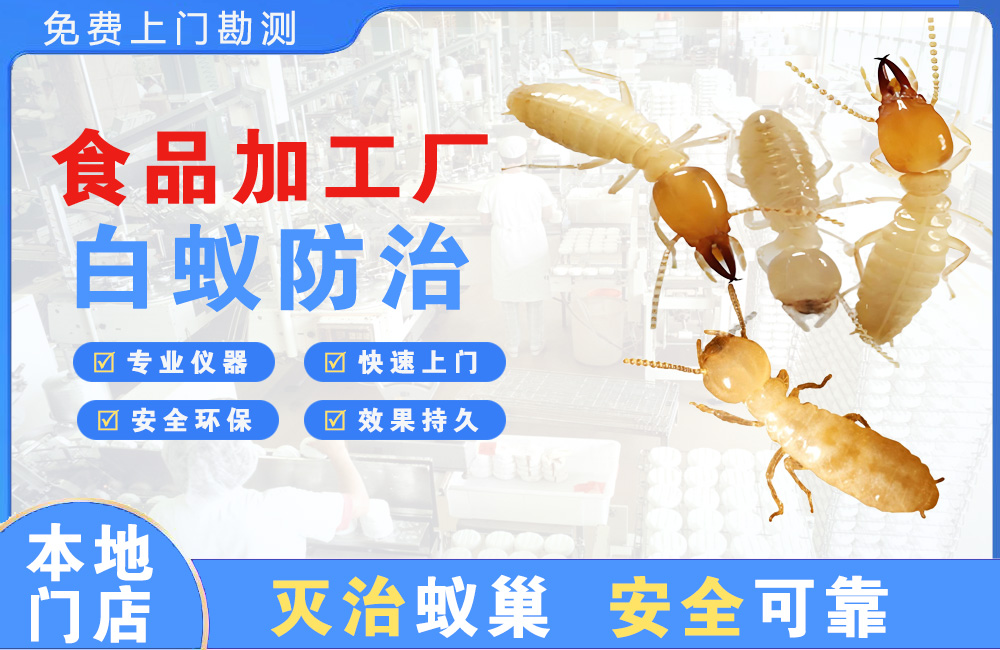 杭州食品加工厂白蚁防治