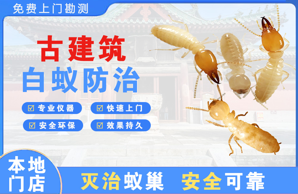 杭州古建筑白蚁防治
