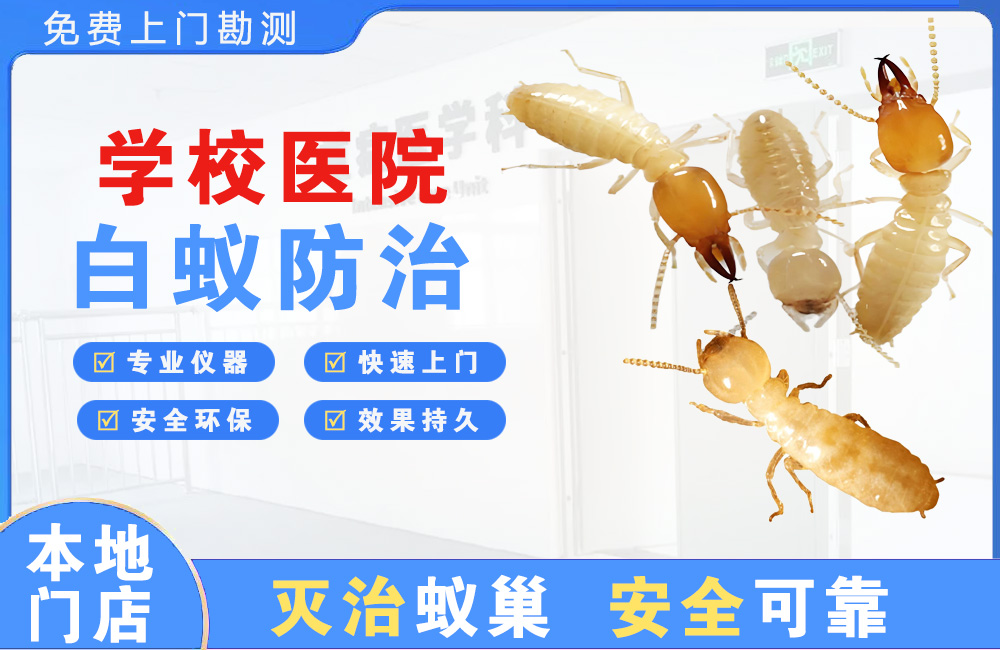 杭州学校医院白蚁防治